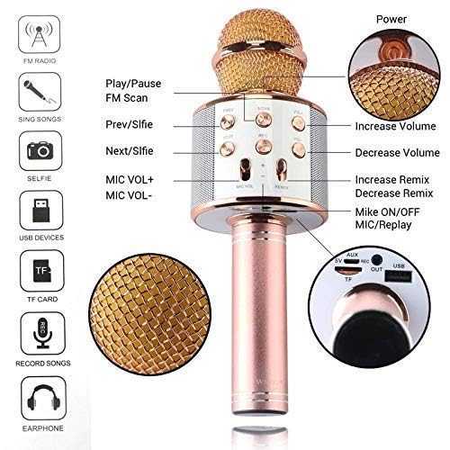 Advance Wireless Karaoke Mic